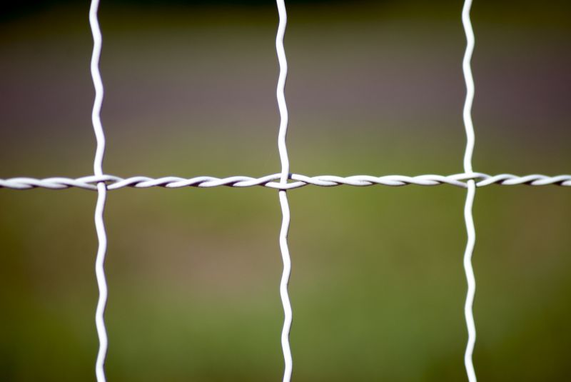 Wire Fencing Service